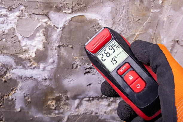 Best Best Mold Removal Companies  in Cashion, OK