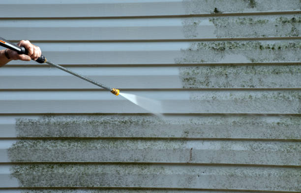 Best Local Mold Removal Service  in Cashion, OK