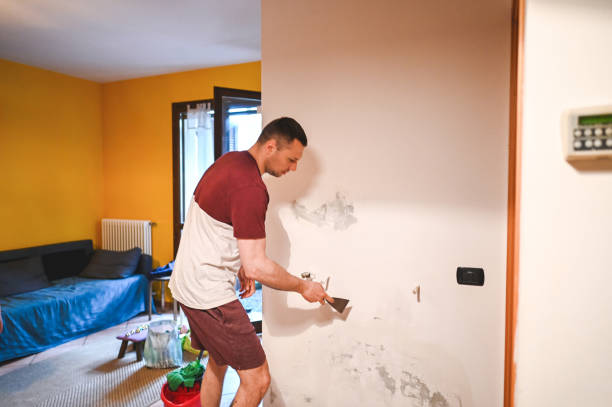 Best Residential Mold Removal  in Cashion, OK